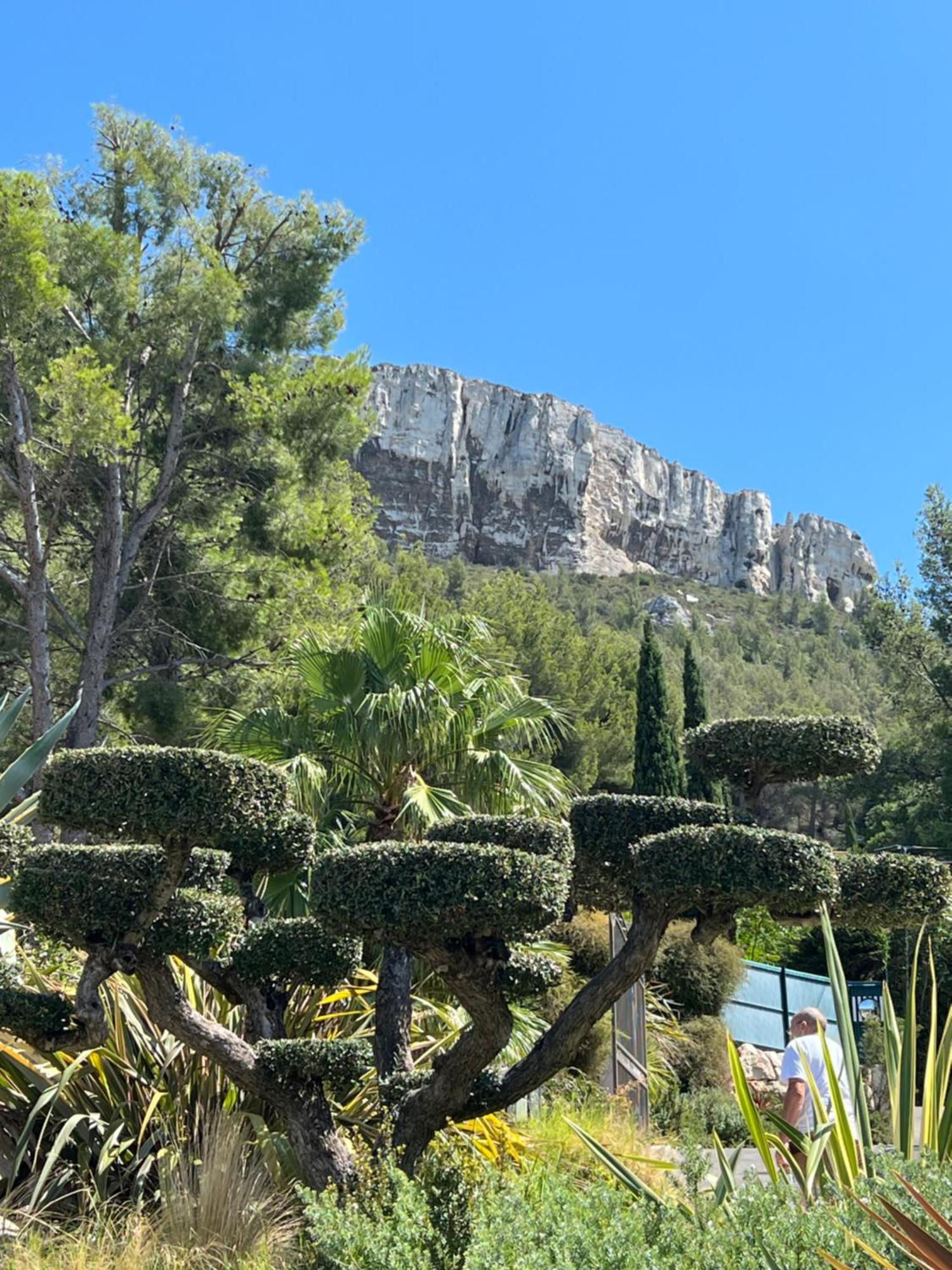 Appartement Entre Village Et Plages. Saint-Cyr-sur-Mer Kültér fotó